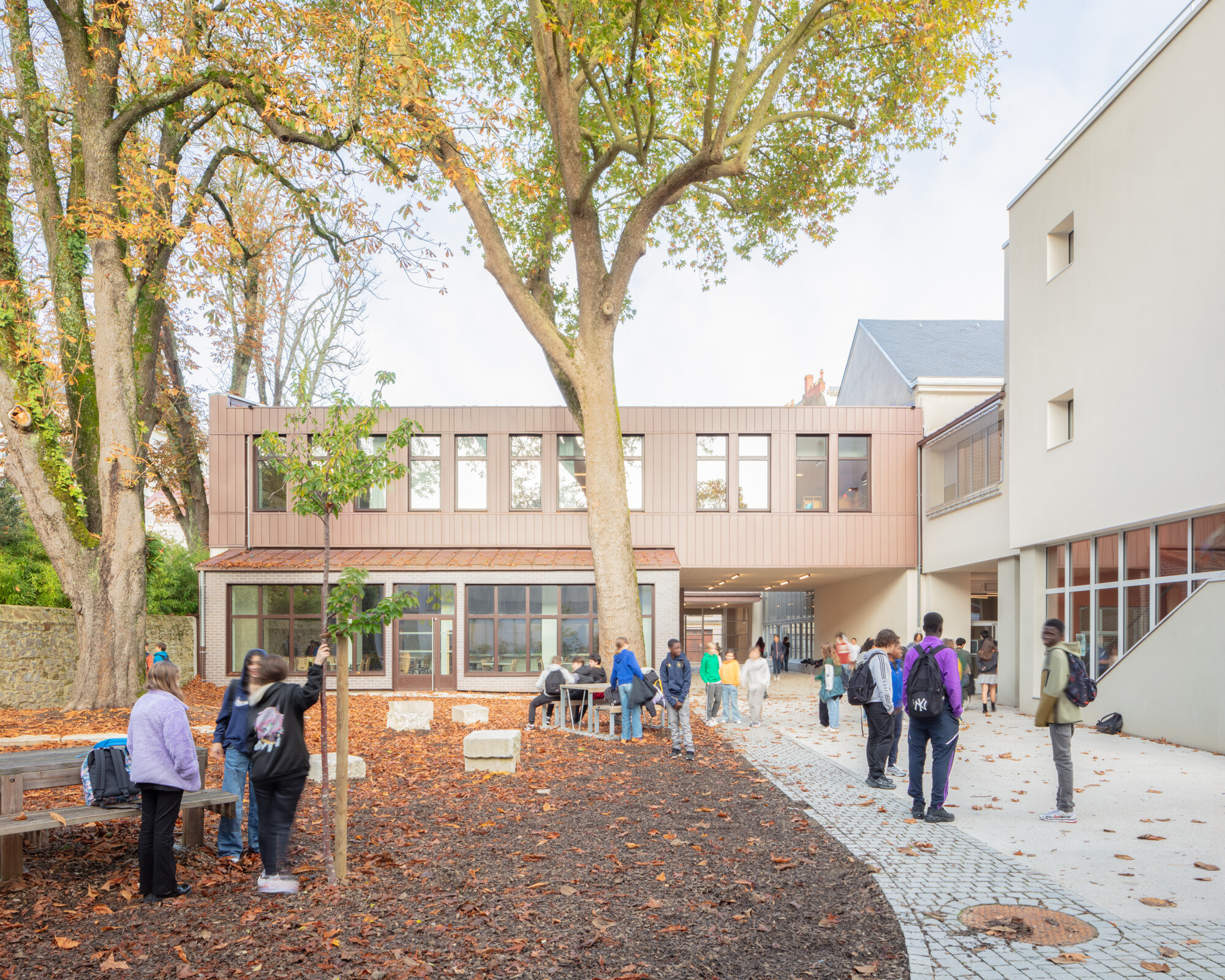 Cobalt-architectes-collège-800-sd-53