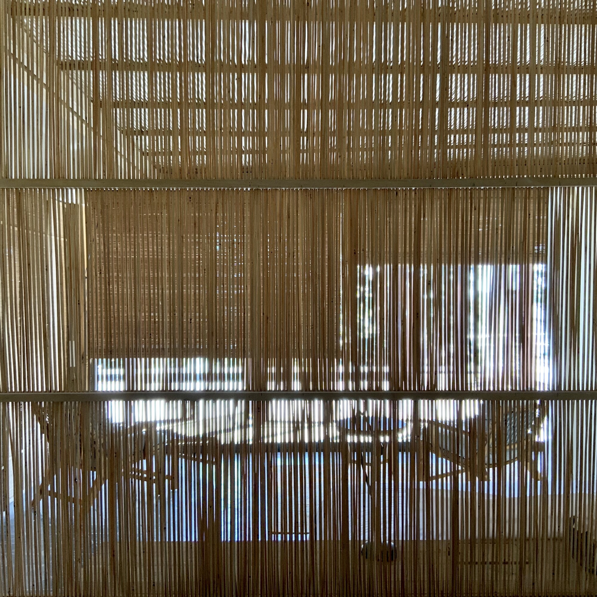 IMG_0061