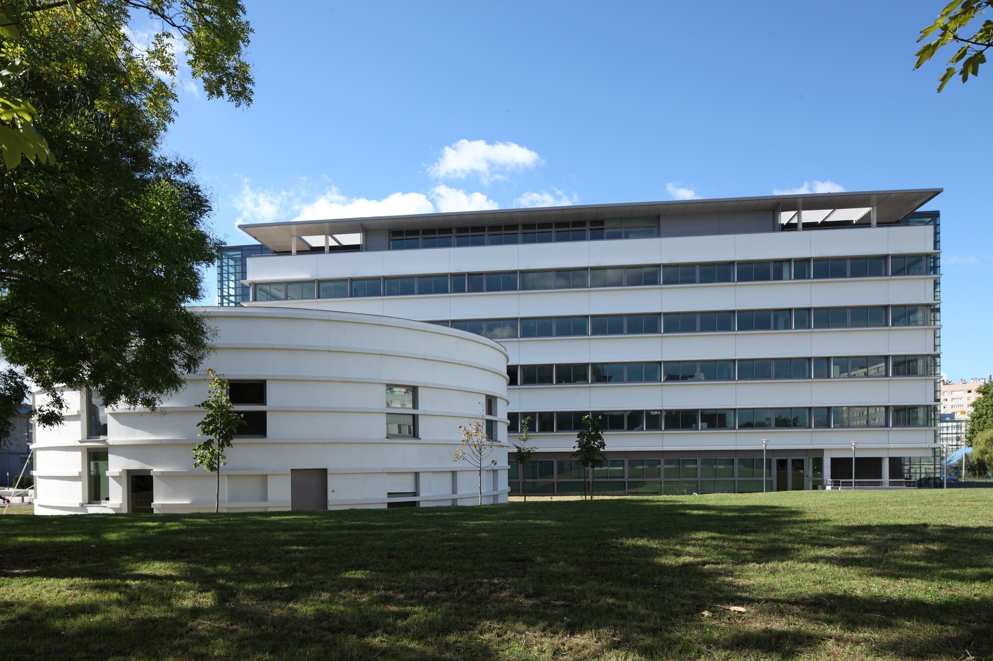 Nanterre Univ  P Sirvin       009