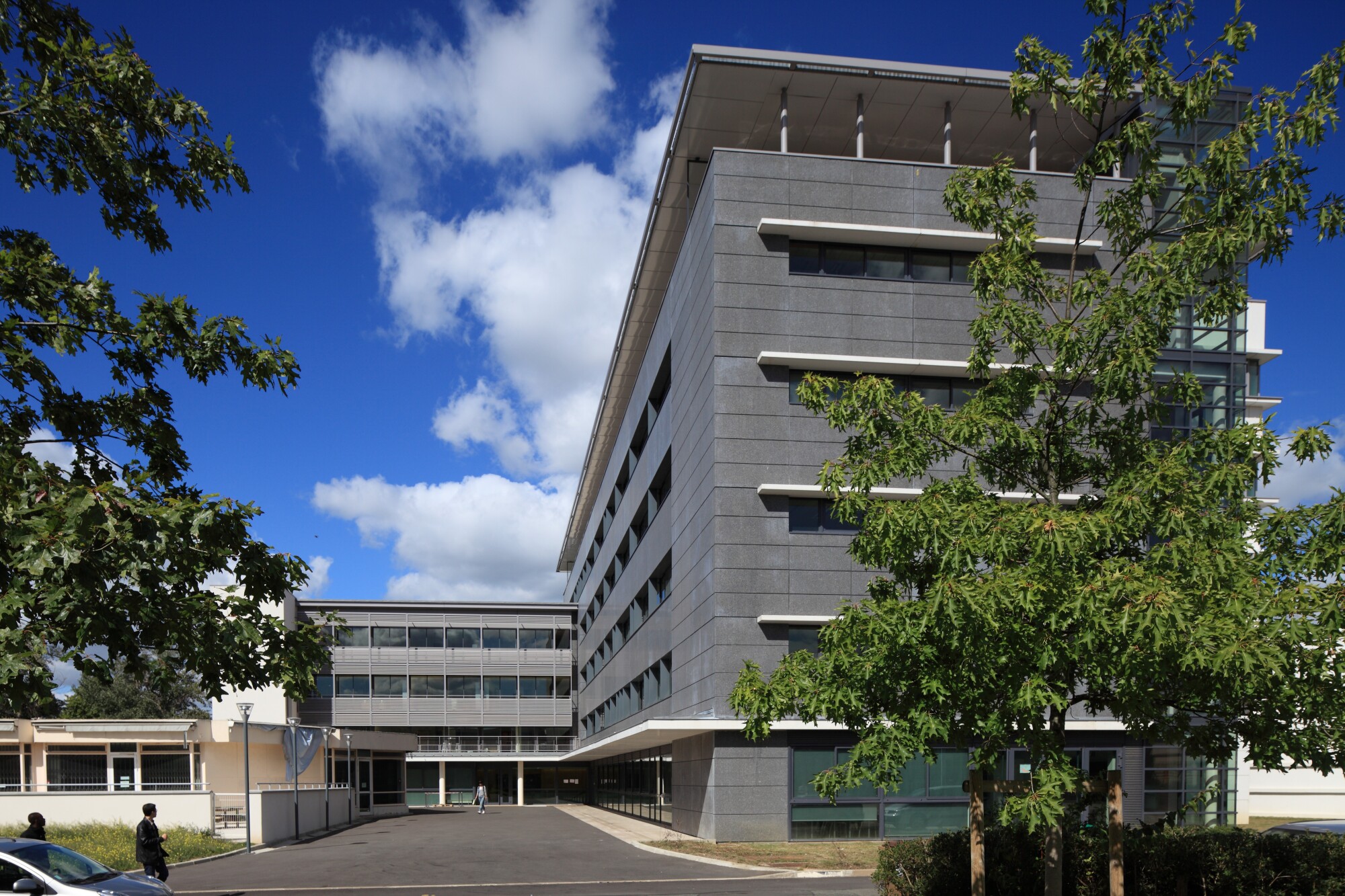 Nanterre Univ  P Sirvin       027